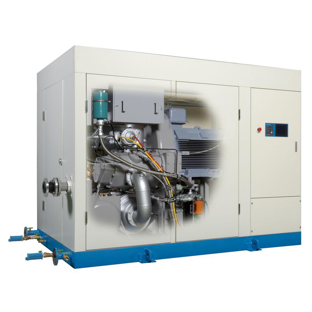 Oil-free dry screw air compressor